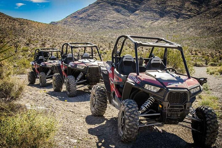 Las Vegas Mini Desert RZR Adventure in Las Vegas | Pelago